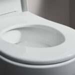 inodoro baño barcelona